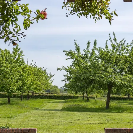 Kasteelhoeve De Kerckhem فندق مبيت وإفطار فاير