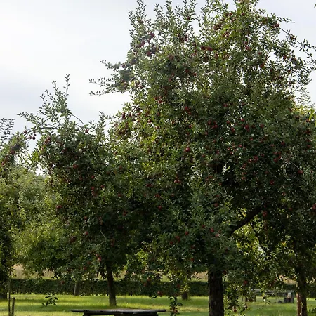Kasteelhoeve De Kerckhem 3* فاير